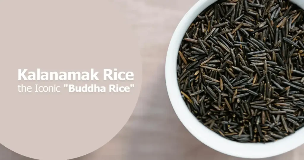 Best Kalanamak Rice An In-Depth Look at the Iconic Buddha Rice